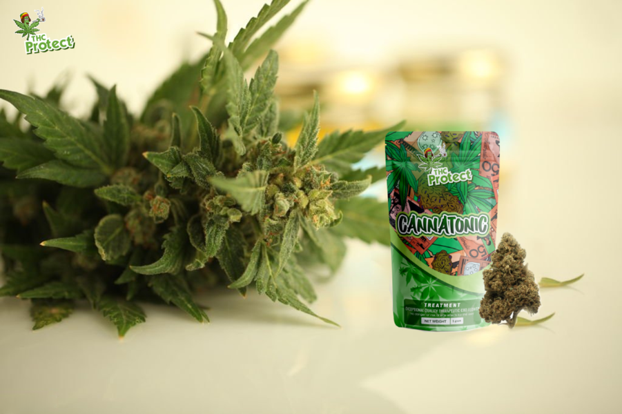 Τα οφέλη των λουλουδιών Cannatonic CBD για υγεία και ευεξία